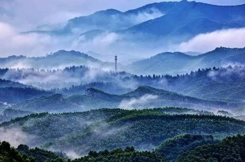 皂幕山,群山环拱,气象万千,原生态景观保存完好,树木叠影婆娑,山野