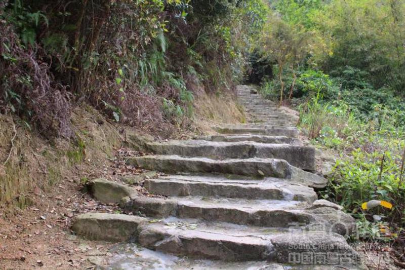 据记载,明嘉靖十三年(1534)由官府修筑,绵延20公里的——凤凰山古道