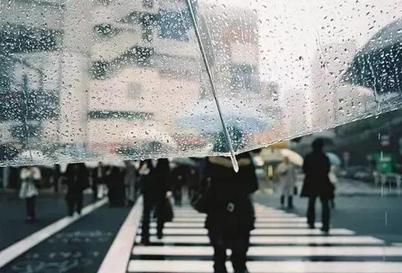 雨伞不过是个掩饰~ 假装自己在看雨, 绝对是雨季里的好风景.