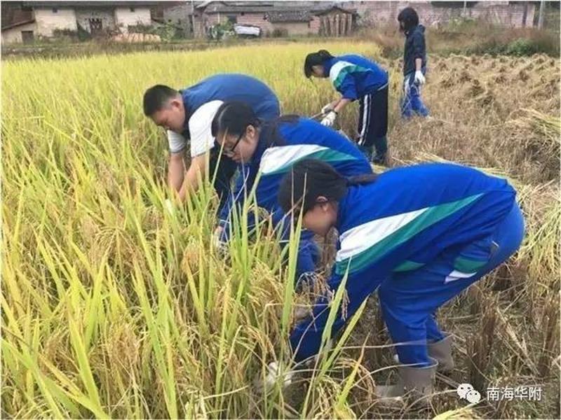 学农活动深入农村 体育健将奋勇夺奖——华附南海实验