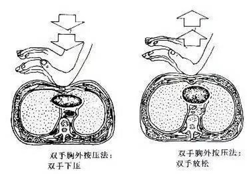 (五)按压频率:100-120次/分钟 每一次按压后,要使胸部完全回弹