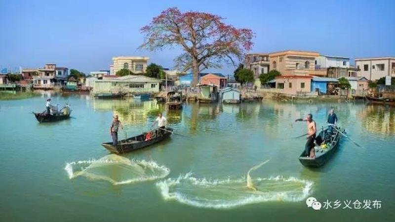 义仓 东临珠江口  南依横门水道 北临洪奇沥水道  毗邻中山港和广州