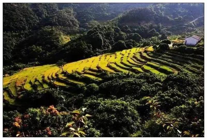 畲族角峰 惠东角峰村,藏不住的美丽