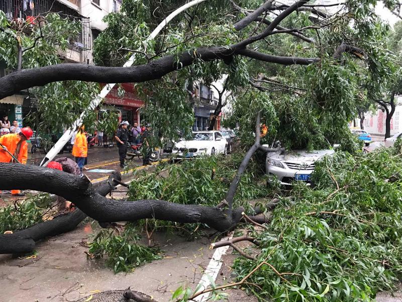 中山发布雷雨大风和暴雨黄色预警 哈哈,明天要降温了!