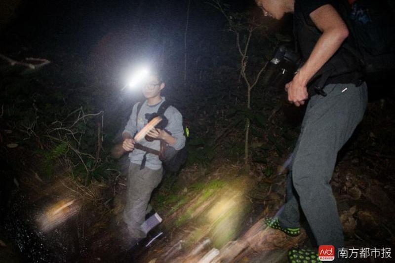 南都记者梧桐山体验野考没多久就碰到2个新物种