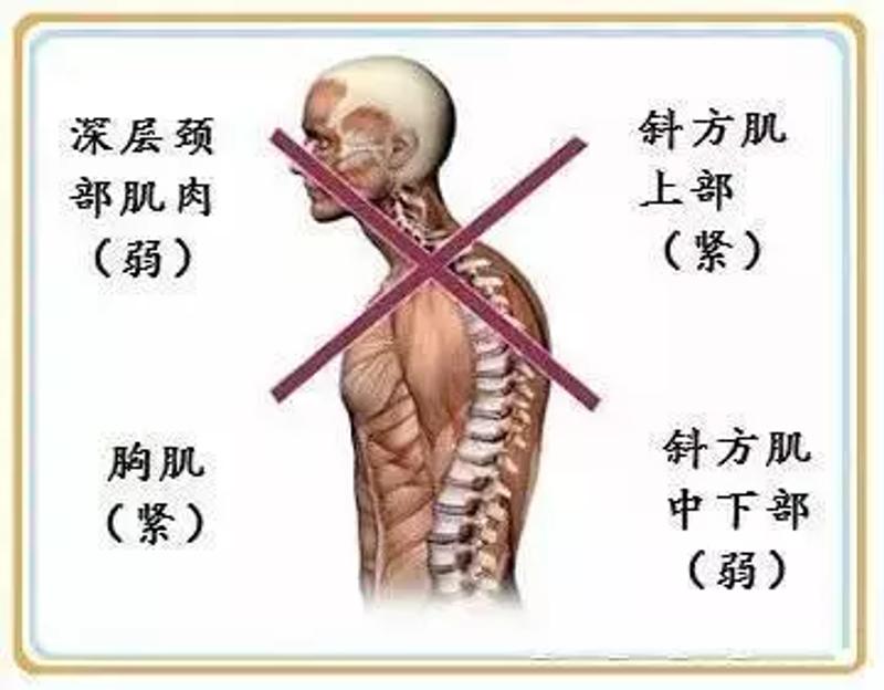 亲爱的,你离完美女神肩线只差这个动作!