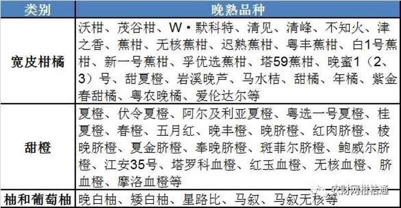 半岛(中国)体育·官方网站售价高达160元公斤！晚熟柑橘价更高？优势品种有哪些？(图2)