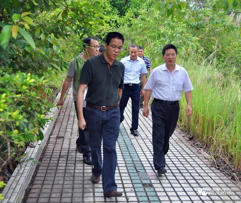 5月18日,省委宣传部副巡视员李长青率省爱卫会督导组一行,在市府副