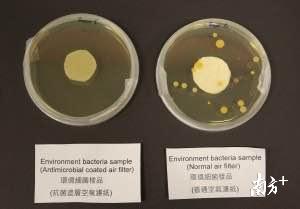 永定河生态建设须防非生态化