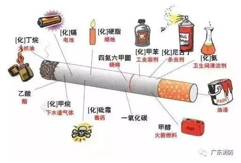 世界无烟日|一根香烟的"故事"