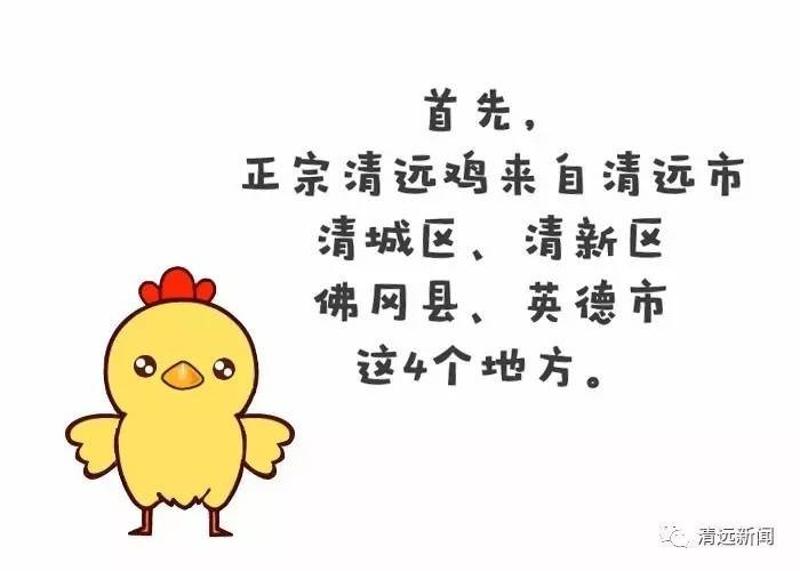 只要在清远生长的鸡就是清远鸡清远人自己都懵了