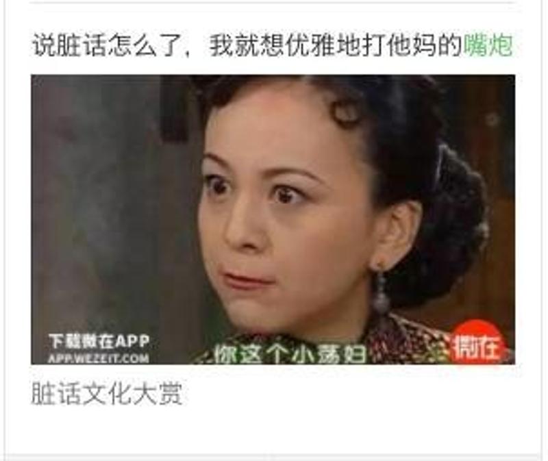 8. 说脏话怎么了,我就想优雅地打他妈的嘴炮