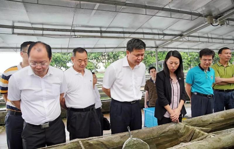 罗晓勤到东海水族调研,鼓励企业做大做强观赏鱼养殖产业