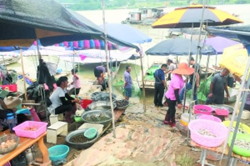 珠江流域史上最长禁渔期结束,河鲜好食更抵食