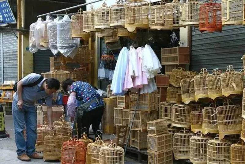 再见了,陪伴广州人17个年头的花地湾花鸟鱼虫市场