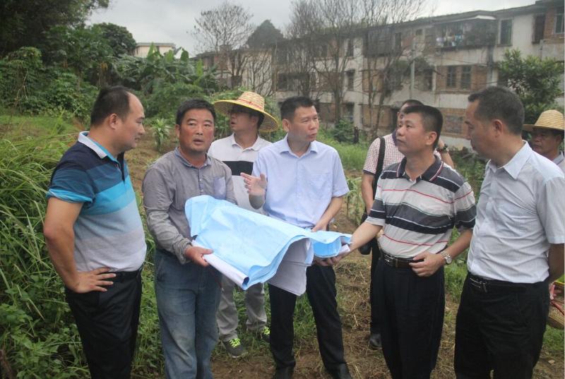 刘洁洲调研马岗山公园建设工作