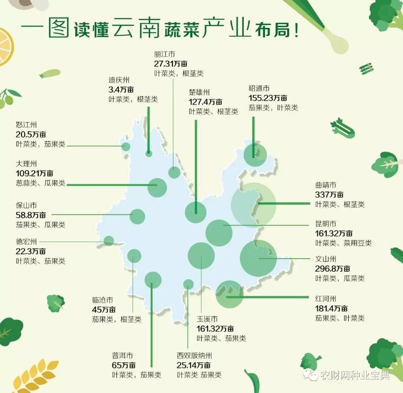 厉害了!一图带你秒懂云南蔬菜产业布局