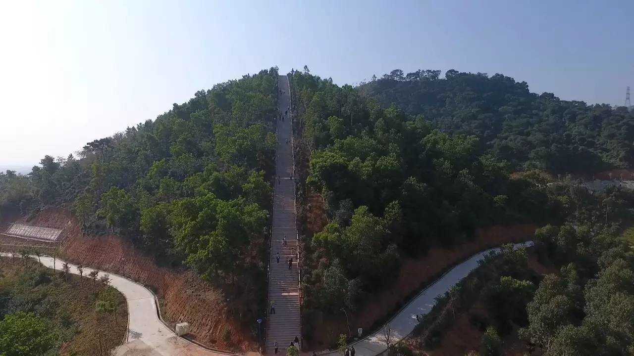 飞鹅岭森林公园依傍高大山峦而建,层层叠叠的青翠树木仿若是大自然馈