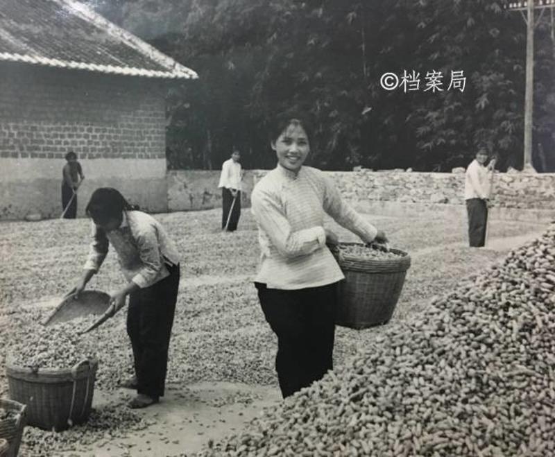 这些泛黄的老照片,是多少三水人无法忘却的抗疫岁月