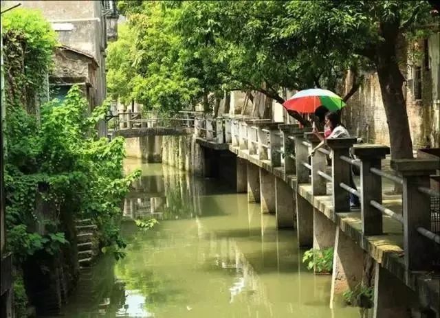 一弯碧水穿村过,百年古榕发新枝.位于北江之畔的紫南村