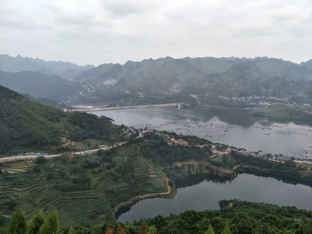 据介绍,安龙县万峰湖镇共有养殖户340余户,养殖面积1668亩,现有鱼