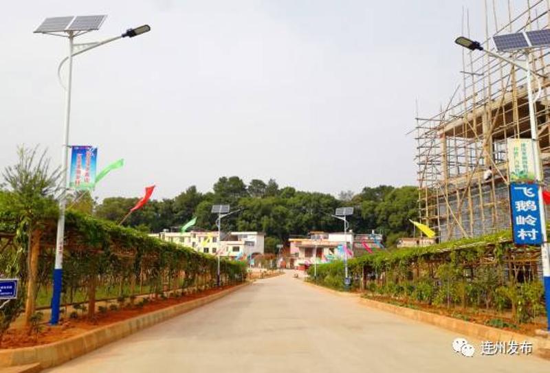 在连州九陂,这条昔日的"鸡粪村"如今变身成为了省卫生村