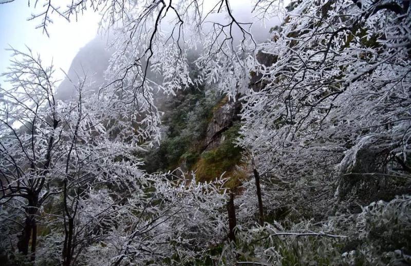 清·远·下·雪·了!听说在冬天,冷空气和刮风更配哦!