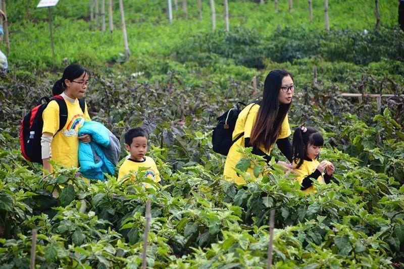 顺德这个超100亩休闲农庄,摘果,钓鱼,烧烤全都齐了,还有福利送!