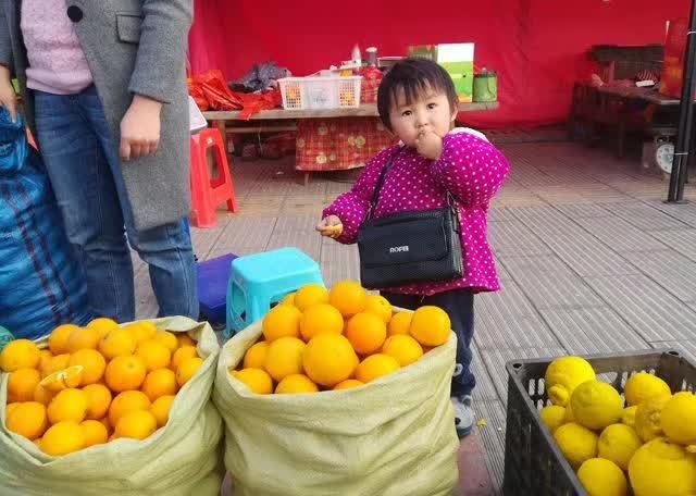 当地果农在路边摆摊兜售永兴冰糖橙 图/淘农村公众号