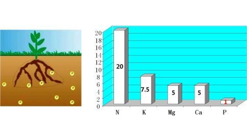 推广|余教授柑橘讲堂:为什么大量施磷肥,作物仍然缺磷?