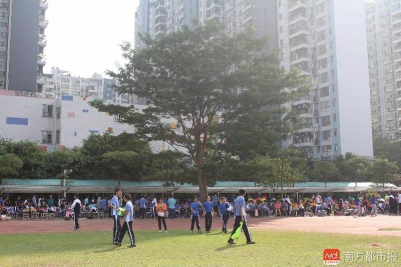 龙岗区实验学校.资料图