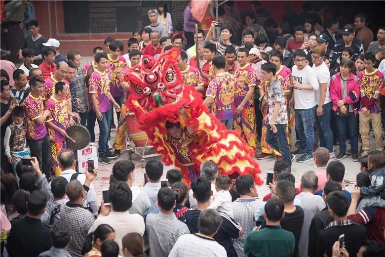 万人空巷!鹤山市最大规模的烧炮庙会在鹤城上演!