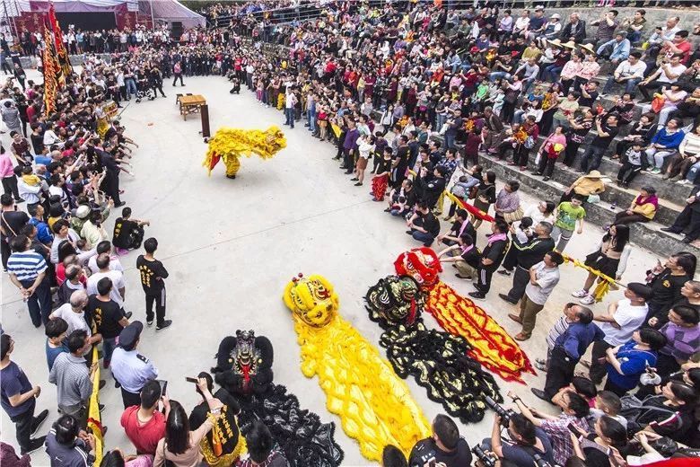 万人空巷!鹤山市最大规模的烧炮庙会在鹤城上演!