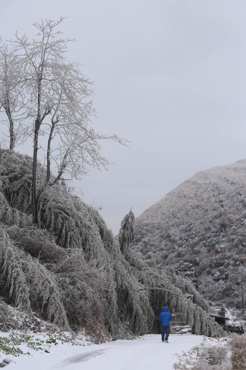 广东下雪地区图片