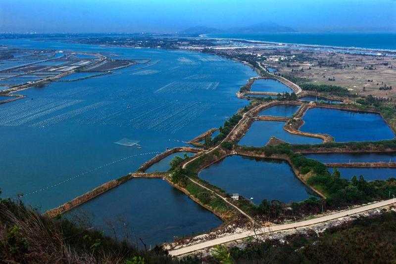 汕尾市海豐縣大湖鎮的鳥類自然保護區溼地已被評為廣東十大最美溼地.