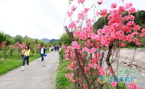 石溪景區定位於打造世界級的鄉村旅遊景區,集鄉村度假,氧生度假,山地