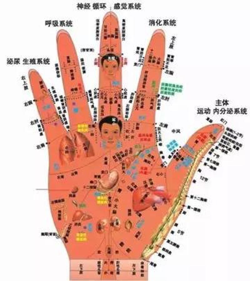 按摩手指治百病快看看5根手指分别对应身体哪些部位