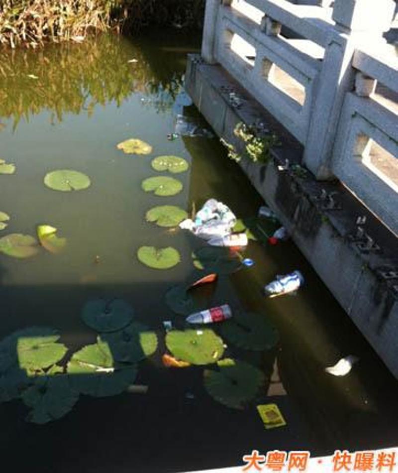 常州太湖院子垃圾图片