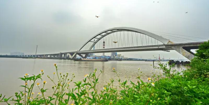 南沙凤凰三桥图片