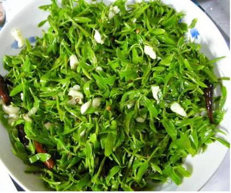 野菜柳蒿芽的吃法图片