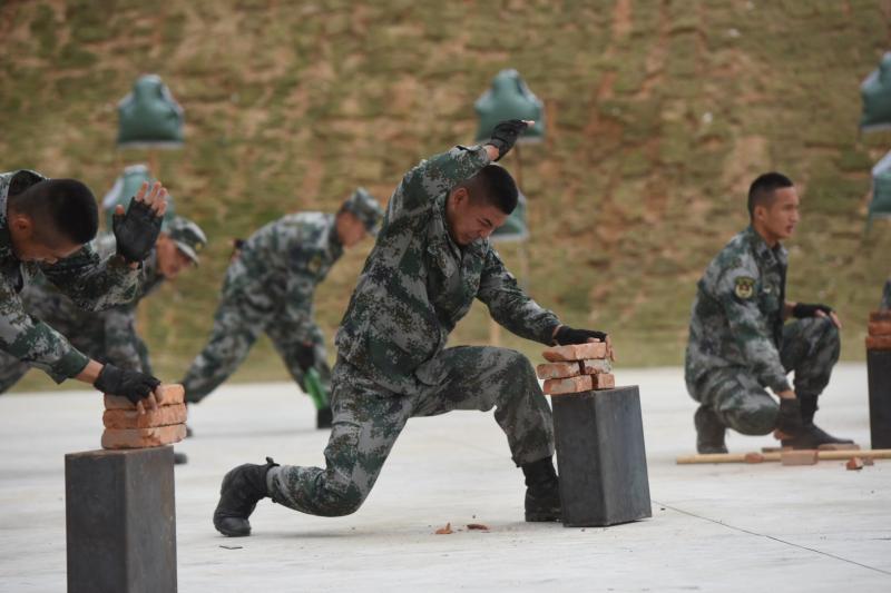 珠海警备区海防二团图片