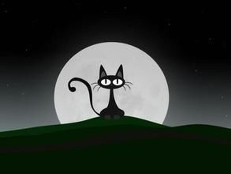 夜猫搞笑朋友圈图片图片