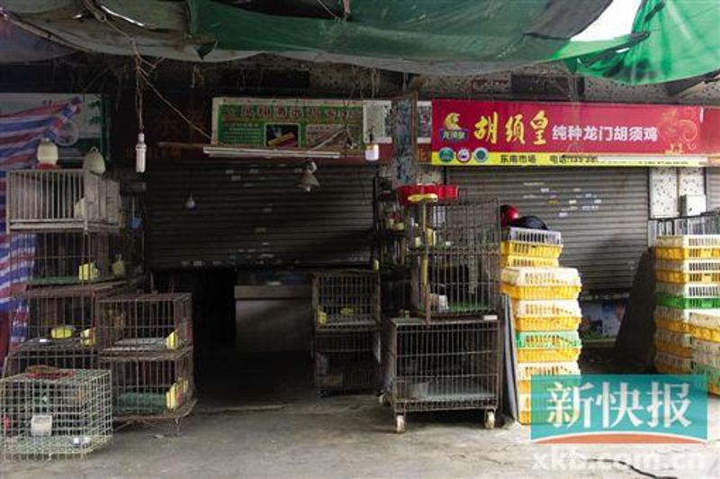 2月21日,广州一个菜市场活禽档口按规定不卖活鸡,笼子里空空如 