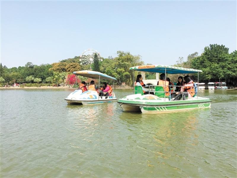 江门东湖公园划船图片