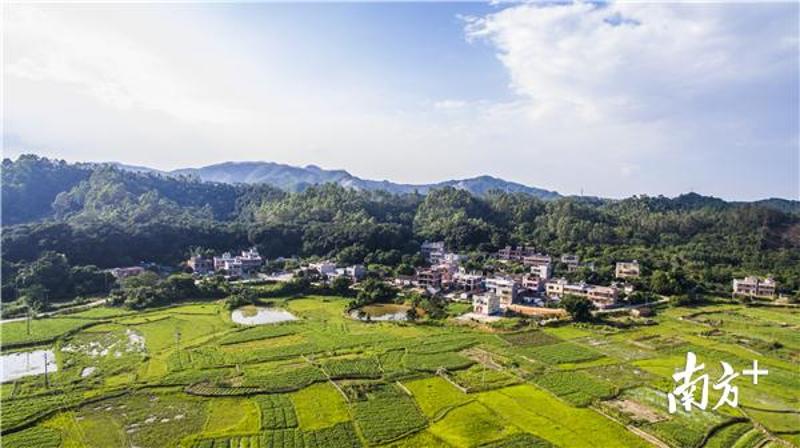 惠州美麗鄉村行動見成效.圖為大良村.南方日報記者 王昌輝 攝