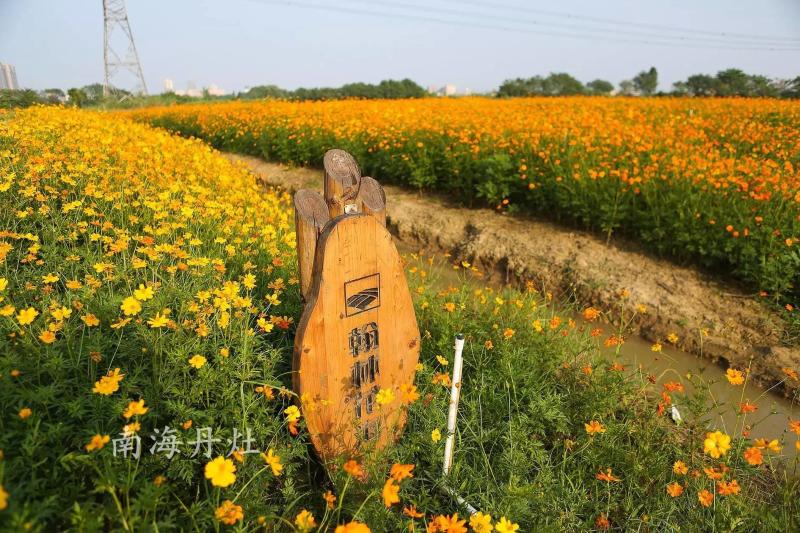 得知丹灶還大手筆規劃建設近2000畝的翰林湖農業公園,作為大金智地的