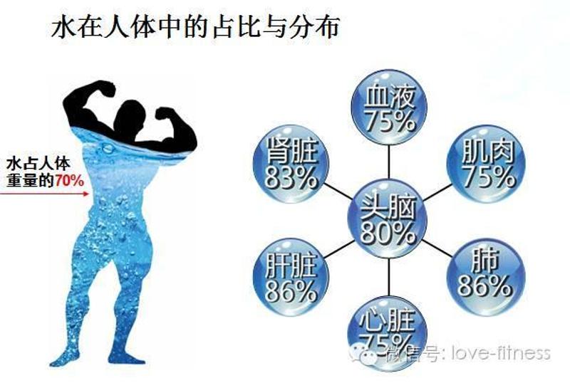 人体内的水占65～70,水是人体中含量最多的物质.