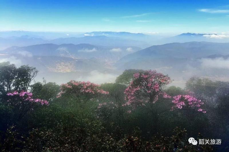 後臺回覆 「南雄蒼石寨」即可獲得相應目的地自駕路線及導航指引.