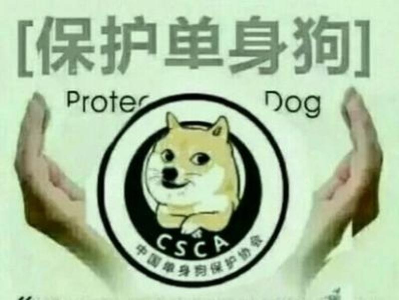 单身狗保护协会表情包图片