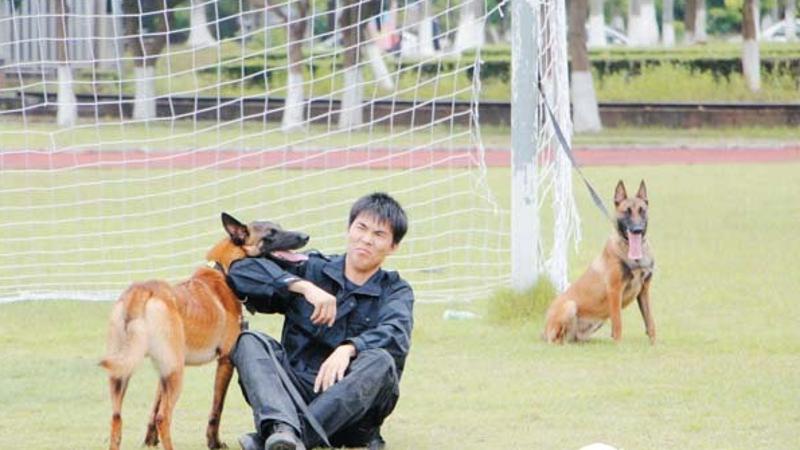 電影《湄公河行動》裡 的警犬